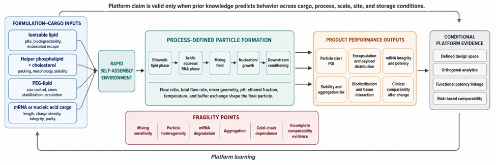 Figure 1. Conditional Platform Logic of Lipid Nanoparticles after the mRNA Era: From Four-Lipid Composition to Process-Defined Product Performance
