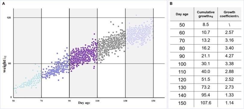 Figure 10. (A) Pig weight scatter plot and (B) Pig weight data.