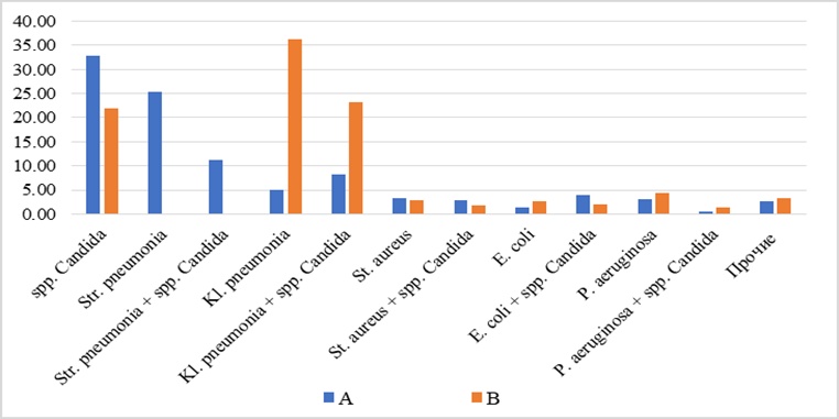 Figure 1. Structure of selected microorganisms received from patients admitted at the infectious COVID-19 hospital (n = 2445) (letter A) and from the Department of Pathological Anatomy (n = 438) (letter B) in 2020, %.