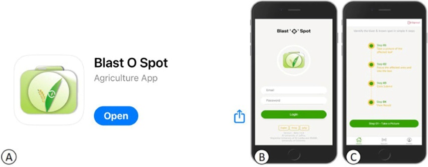 Figure 4. This figure illustrates the process for users to access the “Blast O Spot” application. Initially, users download the application from the Apple Store (A). Upon opening the app, they are greeted with the home screen (B), which prominently features login options in English, Sinhala, and Tamil. Additionally, the screen provides a succinct outline of the application process, highlighting its progression through four sequential steps (C).