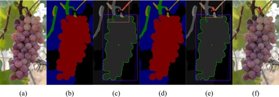 Figure 5. Semantic reasoning results and picking point localization in SLGPS: (a) Original image, (b) Semantic segmentation results, (c) GPPLA localization results, (d) Semantic reasoning results, (e) Improved GPPLA localization results, and (f) Visualization of the picking point on the original image.