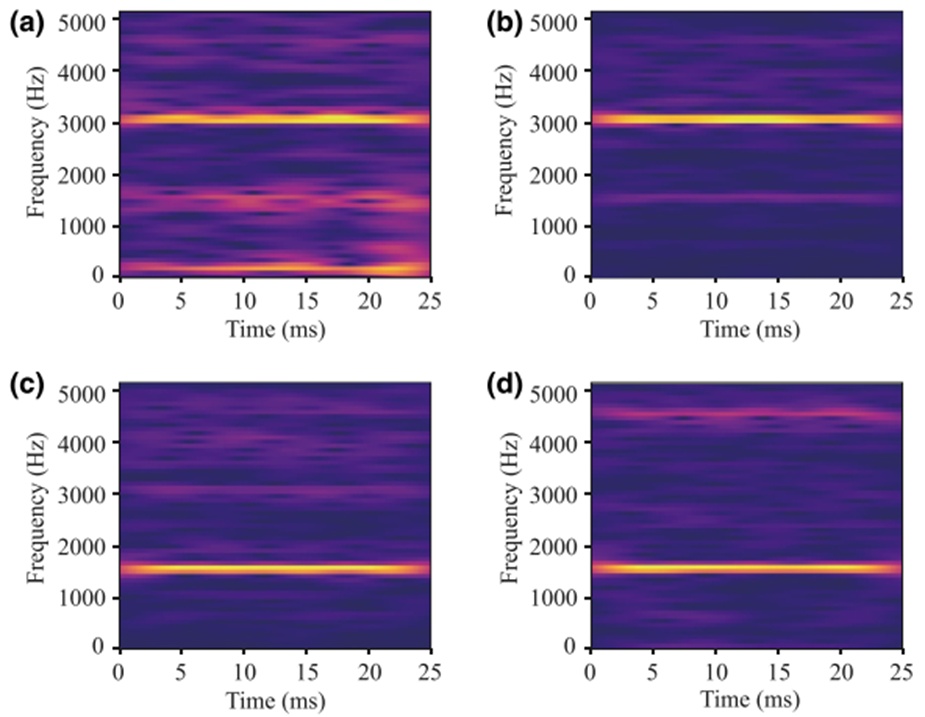 Figure 8. Spectrogram images for different cavitation conditions: (a) severe; (b) medium; (c) mild; (d) healthy