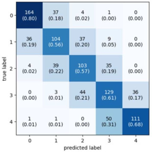 Figure 13. Confusion matrix for the DenseNet multi-class model over all 5 folds. Numbers in brackets indicate the portion of images of a given class that received a particular prediction. The numbers in brackets along the diagonal indicate the accuracy for each class.