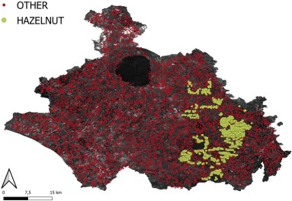 Figure 5. Collection of sparse points sampled from the AOI used for the training dataset.