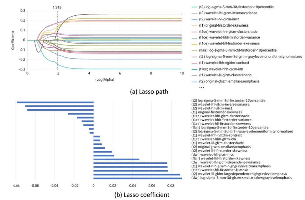 Figure 6. Radiomic features extraction in the glioma survival risk predicting task. (a) LASSO path: variation of feature coefficients with regularisation parameter; (b) radiomics features selection and coefficients via LASSO.