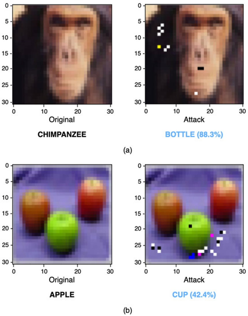 Figure 2. Examples of perturbed CIFAR-100 images generated using the SPSM attack with K = 10 (a) and K = 30 (b) along with the predicted label and corresponding confidence.