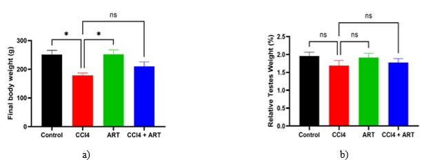 Figure 1. Effects of CCl4 and ART on final body weight and relative testes weight: a) final body weight, and b) relative testes weight.