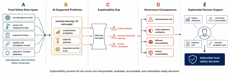 Figure 1. Explainability Challenges in AI-Supported Food Safety Decisions: From Heterogeneous Safety Data to Risk Outputs, Governance Gaps, and Human Review Needs