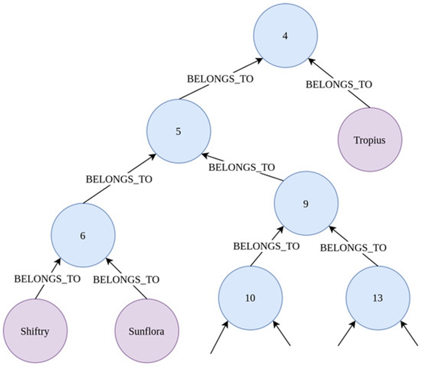 Figure 3. Small part of the tree of life Pokemon graph. As we can see, the tree of life Pokemon graph has a tree-like structure. Each Pokemon node (purple nodes) is a leaf of the tree and belongs to multiple PokeCategory nodes (blue nodes, named with random category numbers). This tree of life graph was generated in [23] and the Pokemon grouping is based on anatomical properties and other Pokemon attributes.