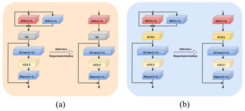 Figure 7. Reparameterization process diagram: (a) RepViT block and (b) RepViT-iEMA block.