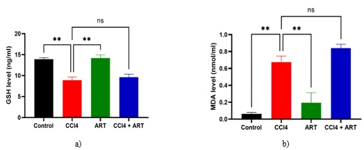 Figure 2. Effects of CCl4 and ART on GSH and MDA levels: a) serum glutathione (GSH) level, and b) serum malondialdehyde (MDA) level.