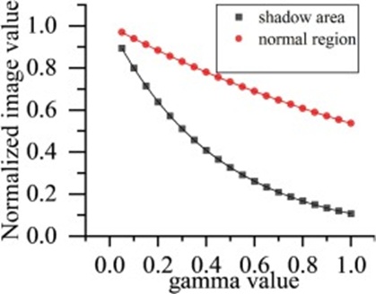 Figure 12. Gamma filter transformed image.