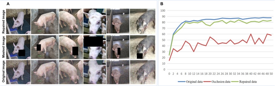 Figure 14. (A) Comparison of image complementation results and (B) three types of image recognition results.