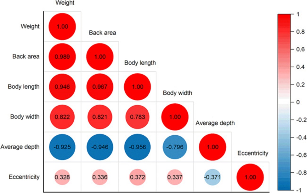Figure 14. The heat map of Pearson’s correlation analysis.
