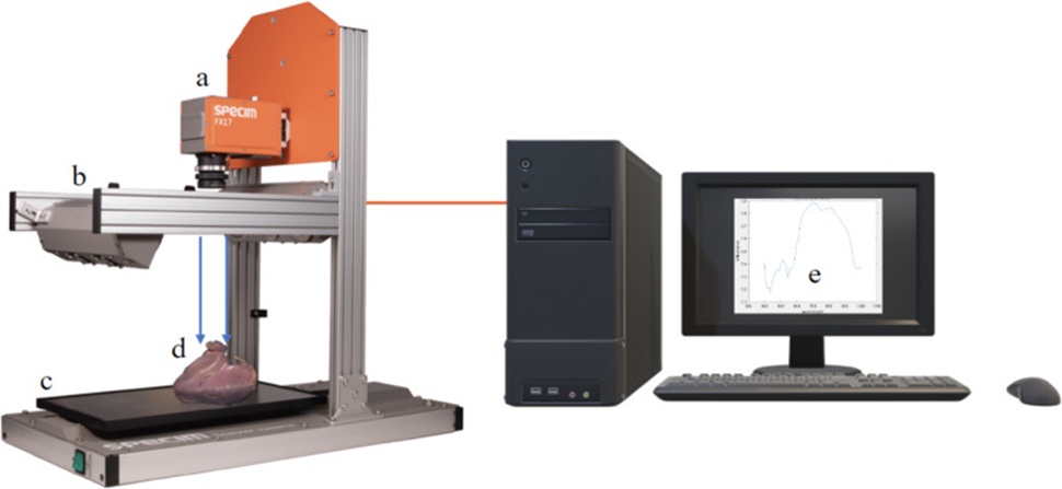 Figure 3. Hyperspectral imaging system setups: a) SPECIM FX 10e camera, b) Halogen illumination, c) Conveyor, d) chicken breast Sample, and e) spectral reflectance graph.