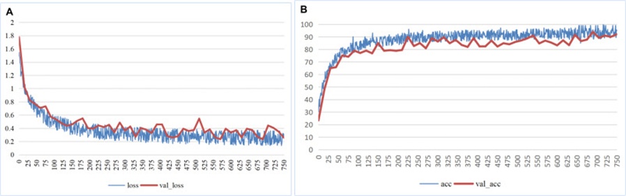 Figure 13. (A) Loss value curve for identity model training, and (B) Accuracy of model training.