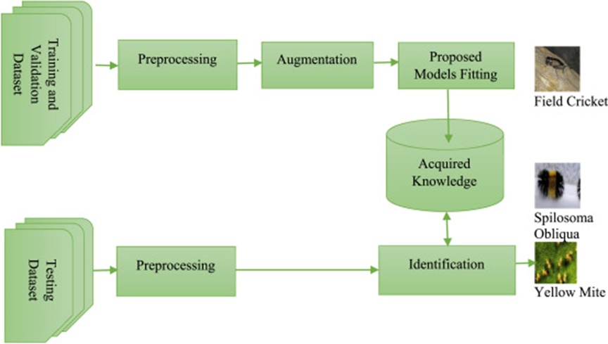 Figure 3. Proposed jute pest identification system.