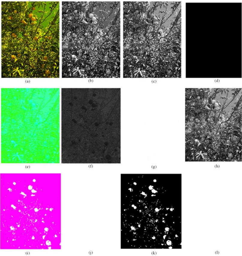 Figure 5. (a) RGB image with B=0, (b) “R” component, (c) “G” component, and (d) “B” component; (e) HSV image converted from original RGB image with B=0, (f) “H” component, (g) “S” components, and (h) “V” component; (i) Lab image converted from original RGB image with B=0, (j) “L” component, (k) “a” component, and (l) “b” component.