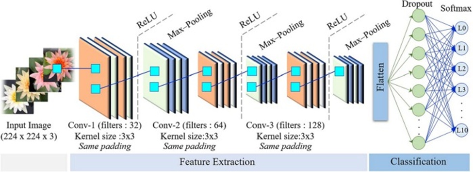 Figure 1. Convolutional neural networks for lotus image classification.