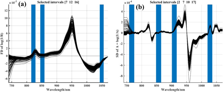 Figure 6. Optimal selection and combination of spectral regions by SiPLS.