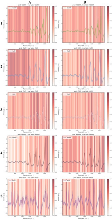 Figure 4. Average Raman curves for the fungal conidia isolates Cb16III (A1), Ca8II (A2), Cb15 (A3), Mpemp (A4), and Bbass (A5) superimposed with the normalized Grad-CAM diagnostic heat fields reflecting the decision-making pathways of model 1. Panels (B1) through (B5) display the corresponding mean Raman signals for the same conidia groups mapped with the normalized Grad-CAM importance indicators for model 2. The vertical axes reflect z-score standardized spectral intensity values, while the Grad-CAM importance metrics are scaled continuously from 0 to 1, moving from white to saturated dark red.