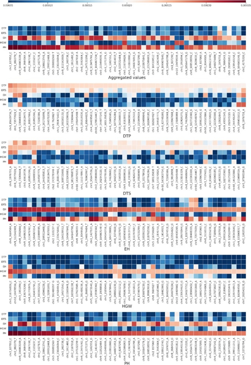Figure 6. The Shapley value heatmap of the top 50 SNPs for aggregated values and individual traits. Abbreviations: DTP = days to pollen; DTS = days to silking; EH = ear height; HGW = hundred-grain weight; PH = plant height.