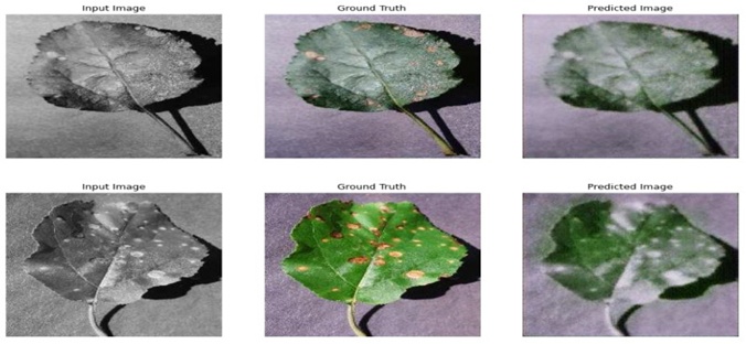 Figure 10. This caption captures the methodical scrutiny and precision of a leaf disease prediction engine, highlighting the sophisticated analytical routines and processing pipelines that are marshaled to generate conclusions that one can rely on in plant health monitoring.