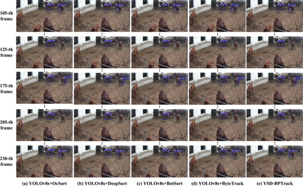 Figure 10. Qualitative tracking results of different tracking methods in video 1 of our calf tracking dataset.