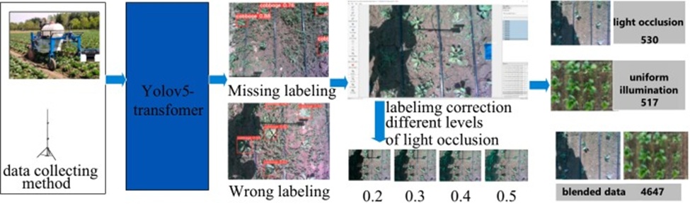 Figure 1. Data set production process.