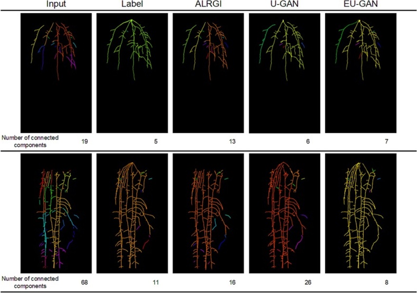 Figure 5. Root inpainting results displayed with colour-coded connected components. Individual colours denote distinct connected components. A reduced colour count inversely reflects the number of disconnected fragments, such that fewer colours correspond to greater topological continuity and a root architecture that is structurally more intact.