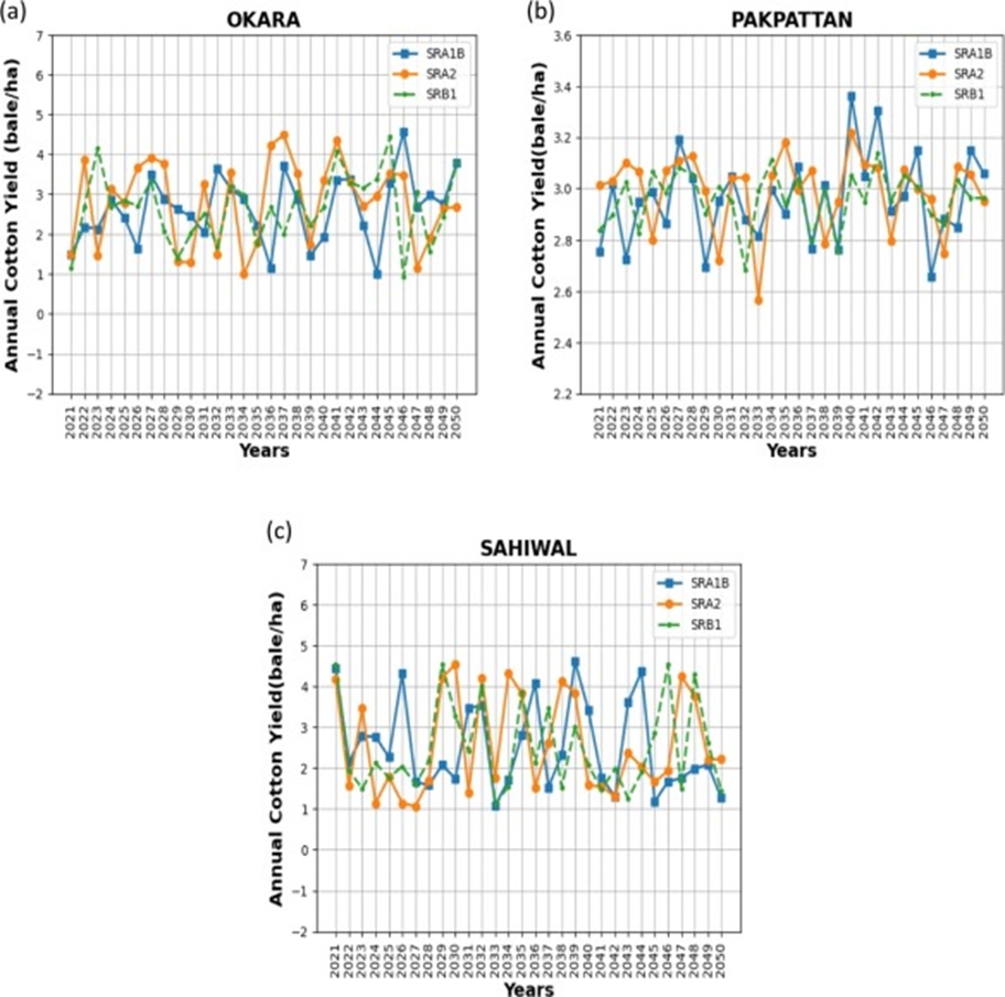 Figure11. Graphs illustrating the volume of cotton output anticipated over 30 years (2021–2050) under the AR4 SR-A1B, A2, and B1 mean ensemble narratives.