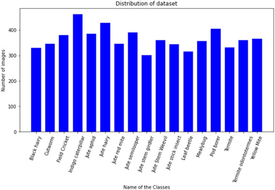 Figure 2. Distribution of dataset.