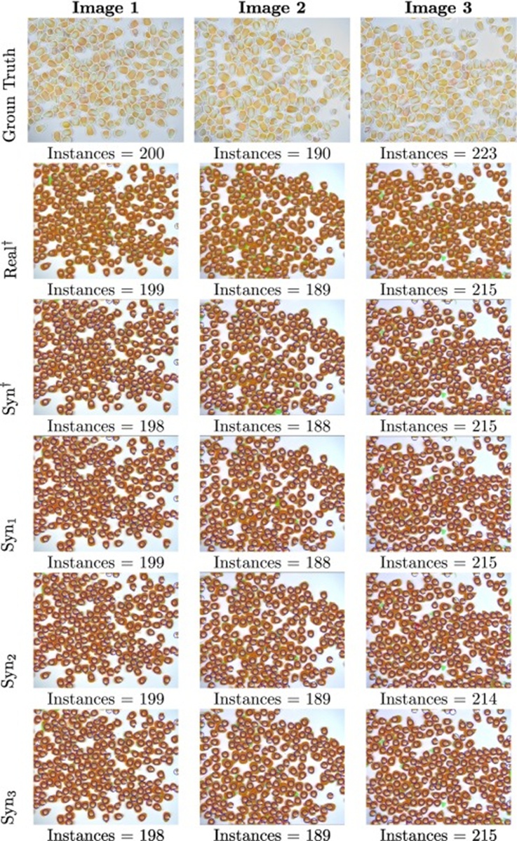 Figure 4. Segmentation results obtained on testing images (manually annotated ground truth images) when Mask R-CNN is trained with real (Real†) and synthesized (Syn†) datasets— the number of obtained instances is shown in each case. (1st row) Ground truth labeled with Labelbox. (2nd row) Results when the real-world image dataset (Real†) [5] is used for training. (3rd row) Results when the synthesized cluster dataset (Syn†) [14] is used for training. (4th to 10th row) Results when different synthesized cluster datasets are used for training (see Table 2).