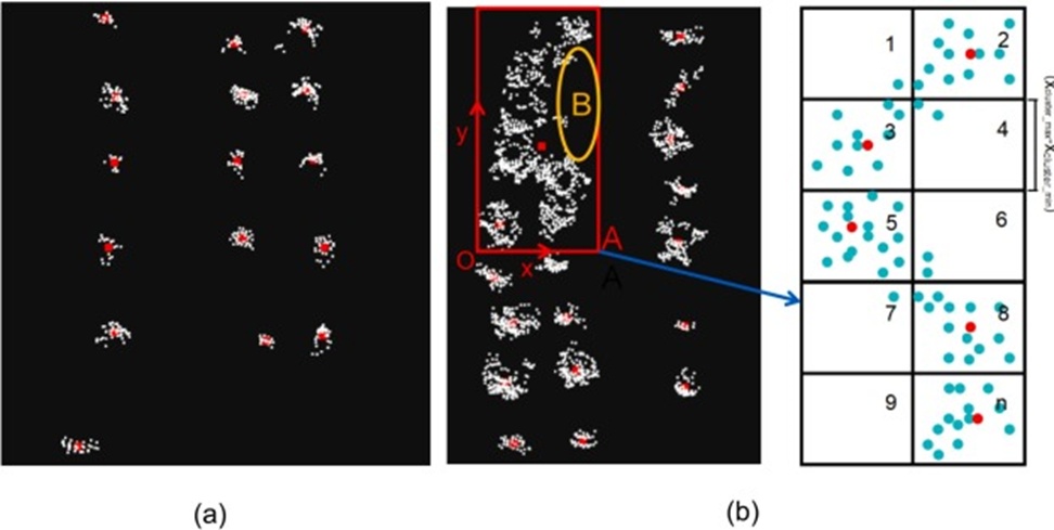 Figure 4. Cabbage identification and positioning: (a) one week after transplanting with cloudy conditions, and (b) two months after transplanting with sunny conditions. The red point cloud represents the cabbage’s position (For interpretation of the references to color in this figure legend, the reader is referred to the web version of this article).
