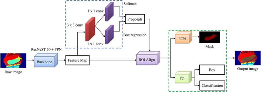 Figure 3. A diagram of the Mask R-CNN structure.