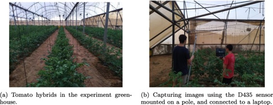 Figure 4. Capturing RGB-D images in the experimental greenhouse.