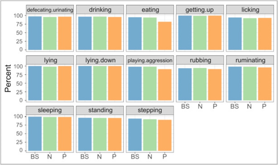 Figure 14. F1 Score values of the RandomForest classifier with different sensors: both sensors (BS), Noseband (N), and Pedometer (P) with settings Padding = 3; Window = 10 and Train size = Validation size = 0.5. Most movements were better recognized with the noseband than with the pedometer.