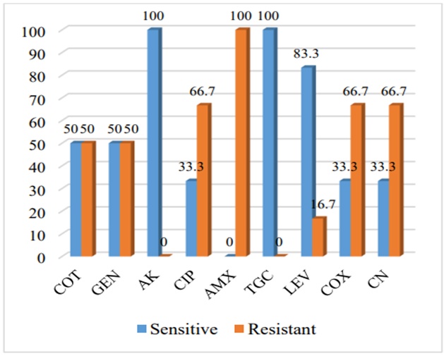 Figure 2. Antibiotic patterns of Staphylococcus aureus.