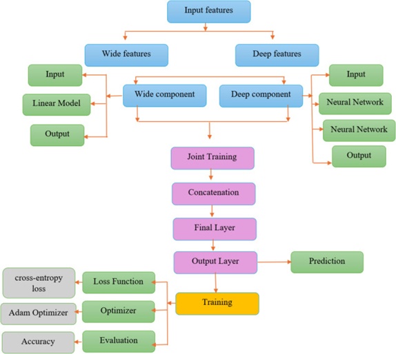Figure 8. Workflow of wide and deep learning.