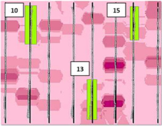 Figure 11. Identified errors of straight-line accuracy of autopilot tractor passes on AB line in replication 2.
