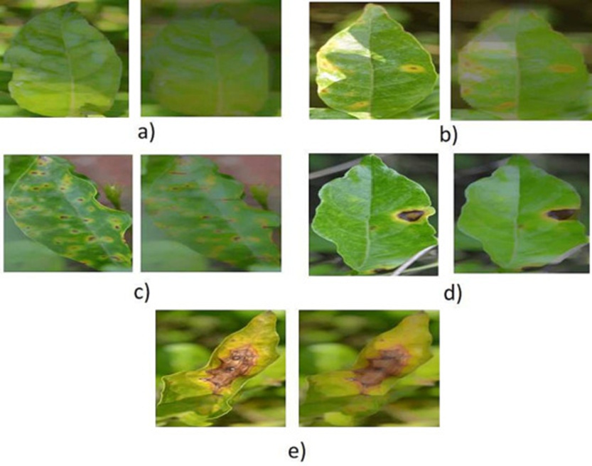 Figure 7. Augmented images using the CGAN Approach: a) Healthy leaf, b) Stage-1, c) Stage-2, d) Stage-3, and e) Stage-4 Jasmine plant leaf disease.