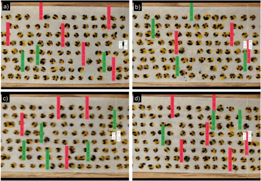 Figure 11. The state of the counter when (a) no object has crossed it yet, (b) when the object with ID 430 has crossed it, (c) when the object with ID 460 has crossed it, and (d) before the rest of the eight objects are left to cross it.