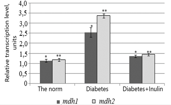 Figure 3. Comparison of transcript levels for the mdh1 (cytoplasmic) and mdh2 (mitochondrial) malate dehydrogenase genes in the liver of control rats (Norm), rats with alloxan-induced diabetes (Diabetes), and diabetic rats treated with inulin (Diabetes+INULIN). Statistical analysis of the transcription levels of the mdh1 and mdh2 genes across all groups showed significant differences (*P = 0.039; **P < 0.001). Analysis method: Variance analysis.