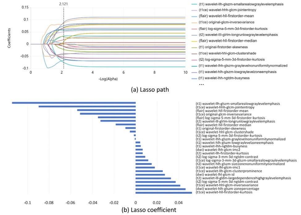 Figure 5. Radiomic features extraction in the IDH genotyping predicting task. (a) LASSO path: variation of feature coefficients with regularisation parameter; (b) radiomics features selection and coefficients via LASSO.