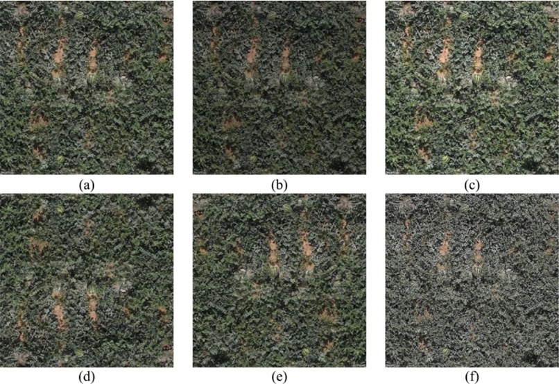 Figure 4. Data augmentation: (a) Original image, (b) Brightness 0.8, (c) Brightness 1.2, (d) Vertical mirroring, (e) Horizontal mirroring, and (f) Gaussian blur.