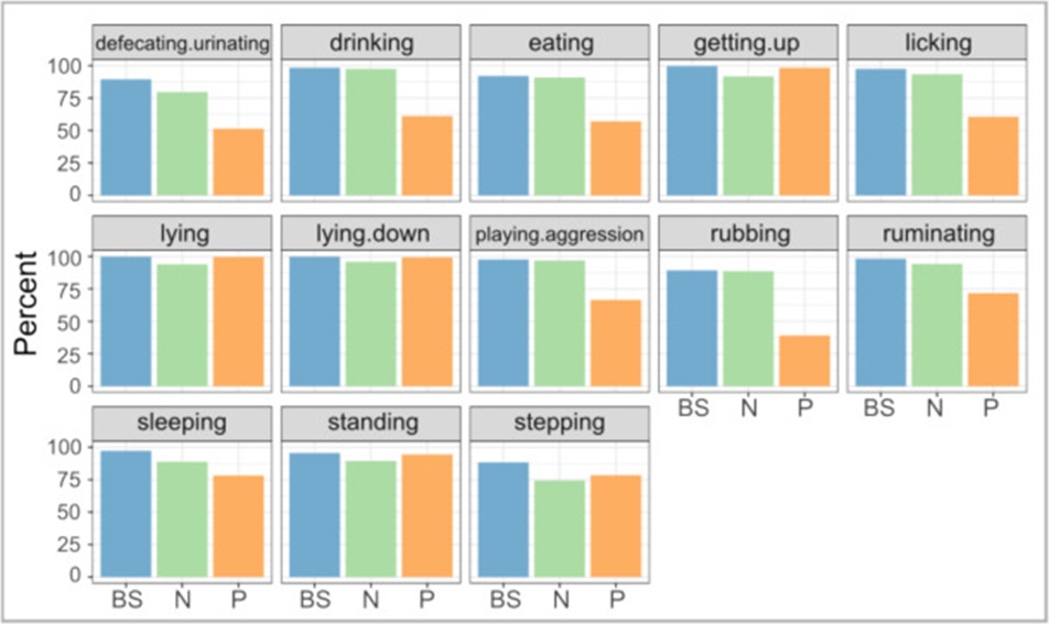 Figure 13. F1 Score values of the SVC classifier with different sensors: both sensors (BS), Noseband (N), and Pedometer (P) with settings Padding = 3; Window = 10 and Train size = Validation size = 0.5. Most movements were better recognized with the noseband than with the pedometer.