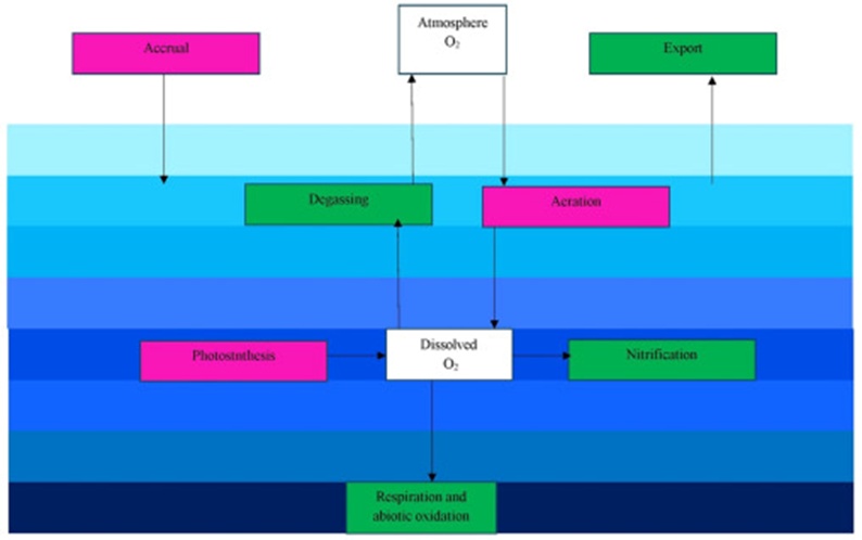 Figure 1. Methodology for prediction of dissolved oxygen levels.