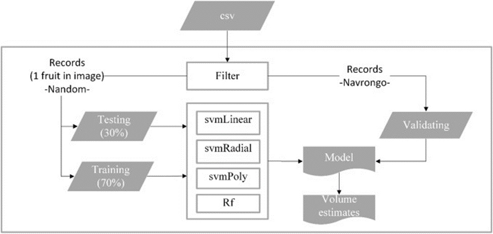 Figure 5. Training, testing, and validation process for volume quantification using machine learning.