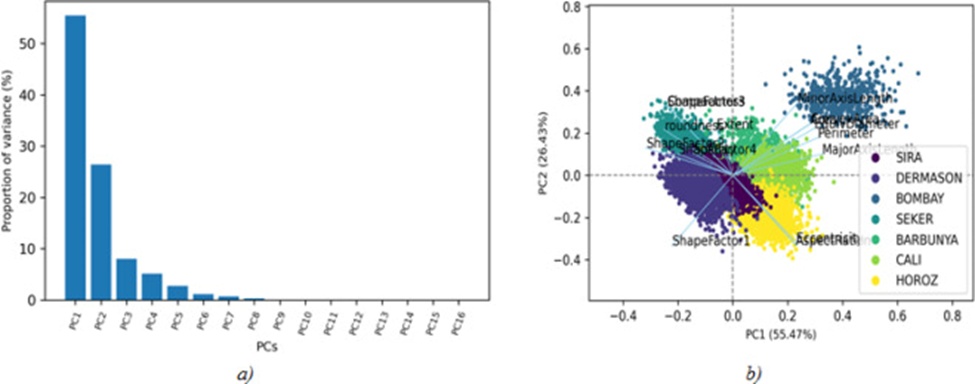Figure 7. Decisive characteristics in the differentiation of bean seeds: a) variance explained by each principal component, and b) coefficients used in the first two principal components in relation to the classes.