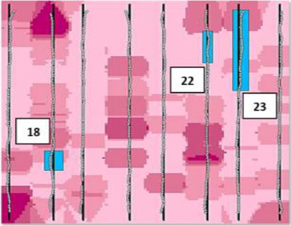 Figure 12. Identified errors of straight-line accuracy of autopilot tractor passes on AB line in replication 3.